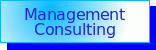 Management Consulting